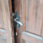 Ministarstvo kulture: Napadi na srpsko duhovno i kulturno nasleđe na prostoru AP KiM crkva-svete-nedelje-830x553