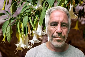 NOVI ŠOK IZ EPSTAJNOVIH FAJLOVA Milijarder se interesovao za biljke koje pretvaraju ljude u “zombije”?!