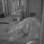 969413_screenshot-1646_kf