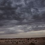 profimedia-0826929514-830x0